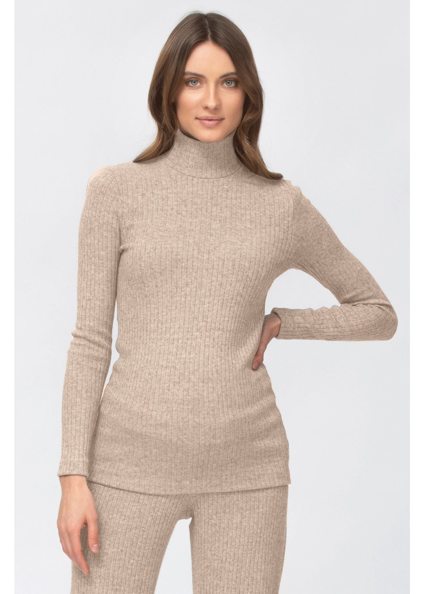 PIETRO BRUNELLI JUMPER THE CARLA TURTLENECK